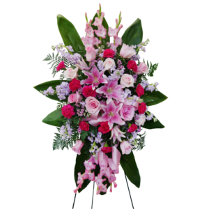 SS#02 Spray Tributo Morado y Rosa